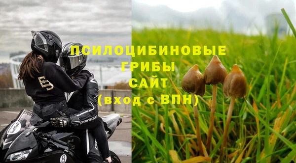 соль курить ск Алзамай