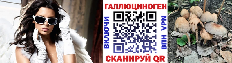 Галлюциногенные грибы GOLDEN TEACHER  KRAKEN tor  Юрьевец 
